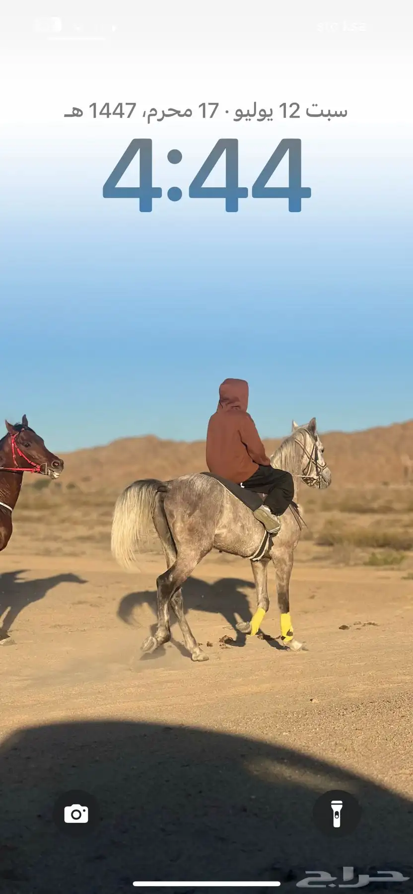 خيل شعبي فاخرر 4