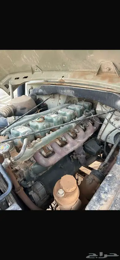 عايدي 8
