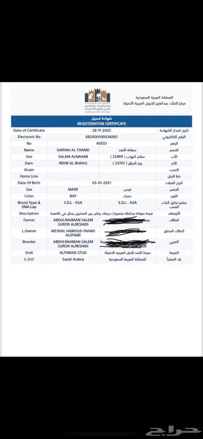 فرس واهو مكس فاخرة index