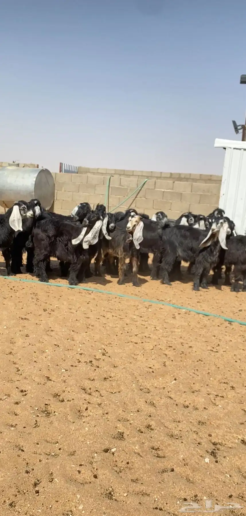 جفرات عوارض صنف 1