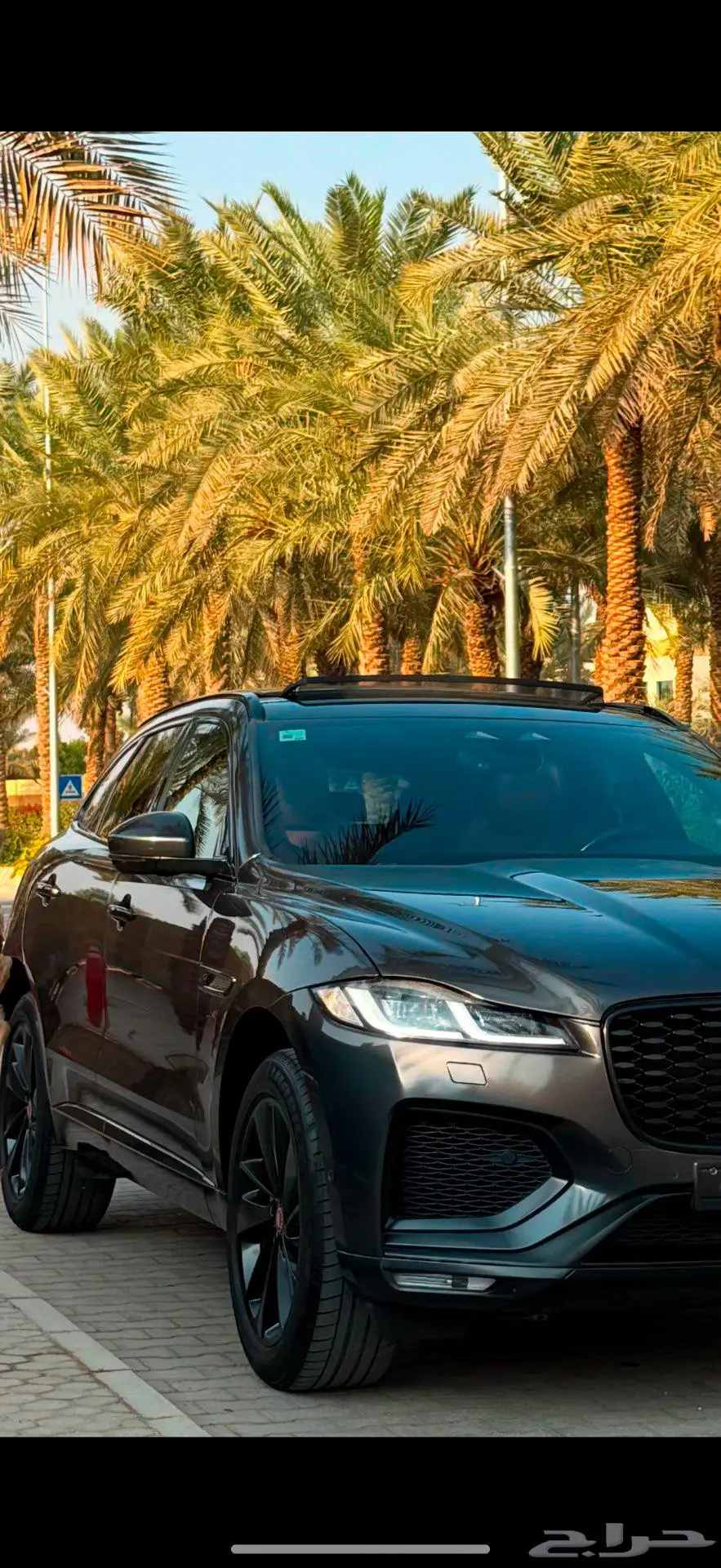 F-pace ( بلاك اديشن ) R 15