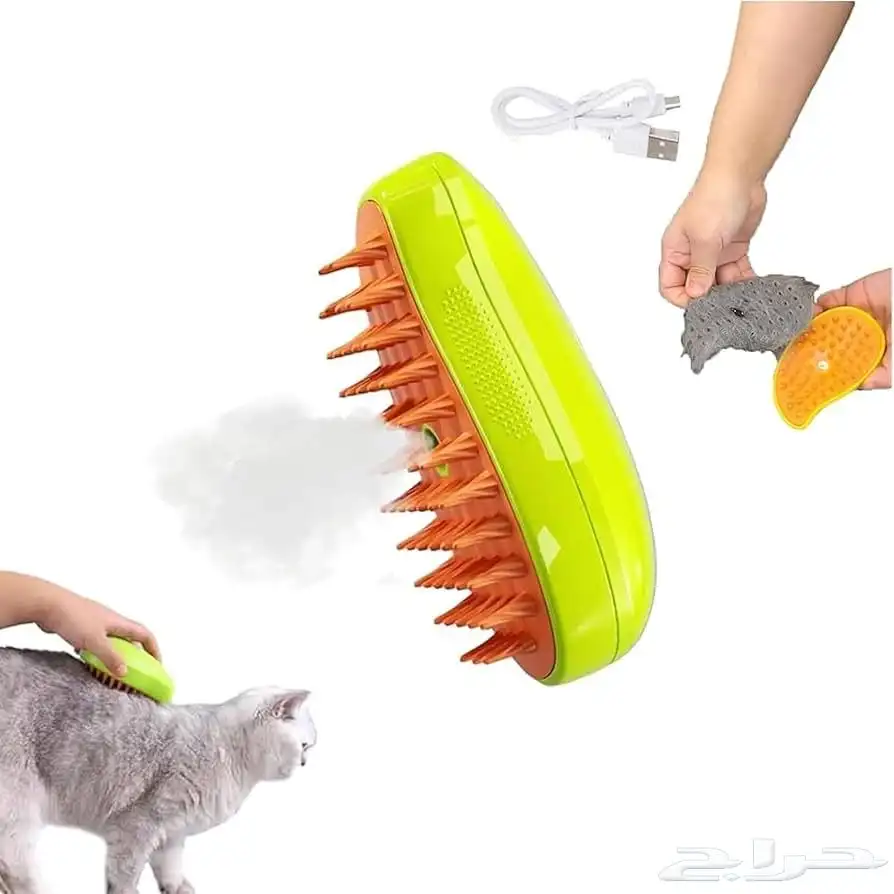 قطط للتبني 3