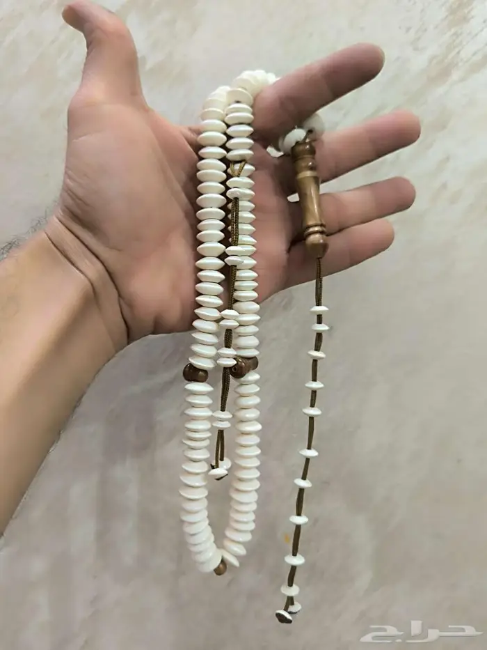 ثلاث سبح عظم جمل 1