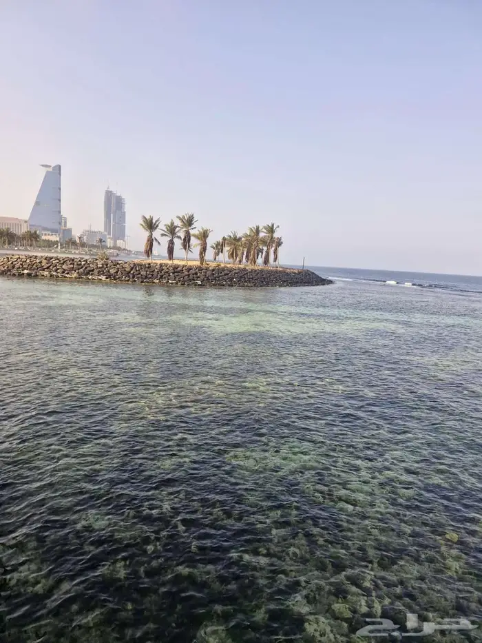 كوريلا 2015 نظيفة للبيع 0