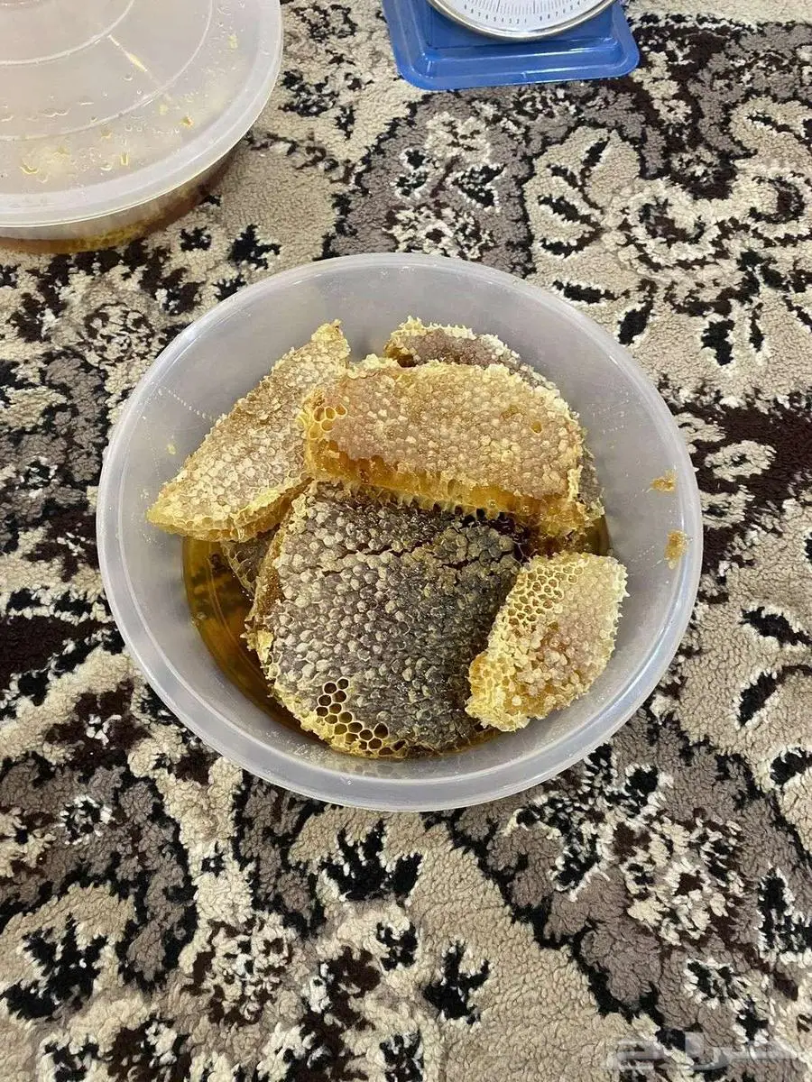 عسل بلدي شمع و صافي 3