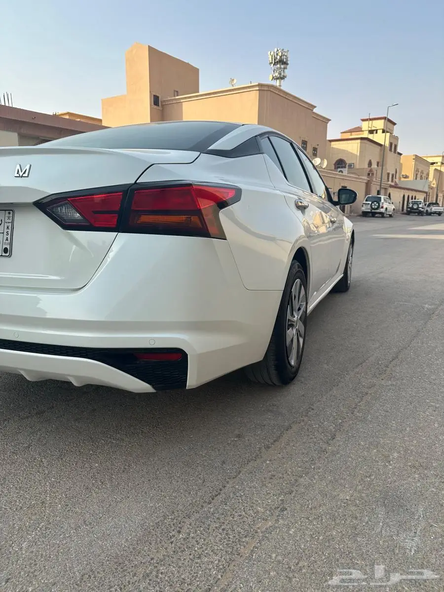 التيما ستاندر 2019 5