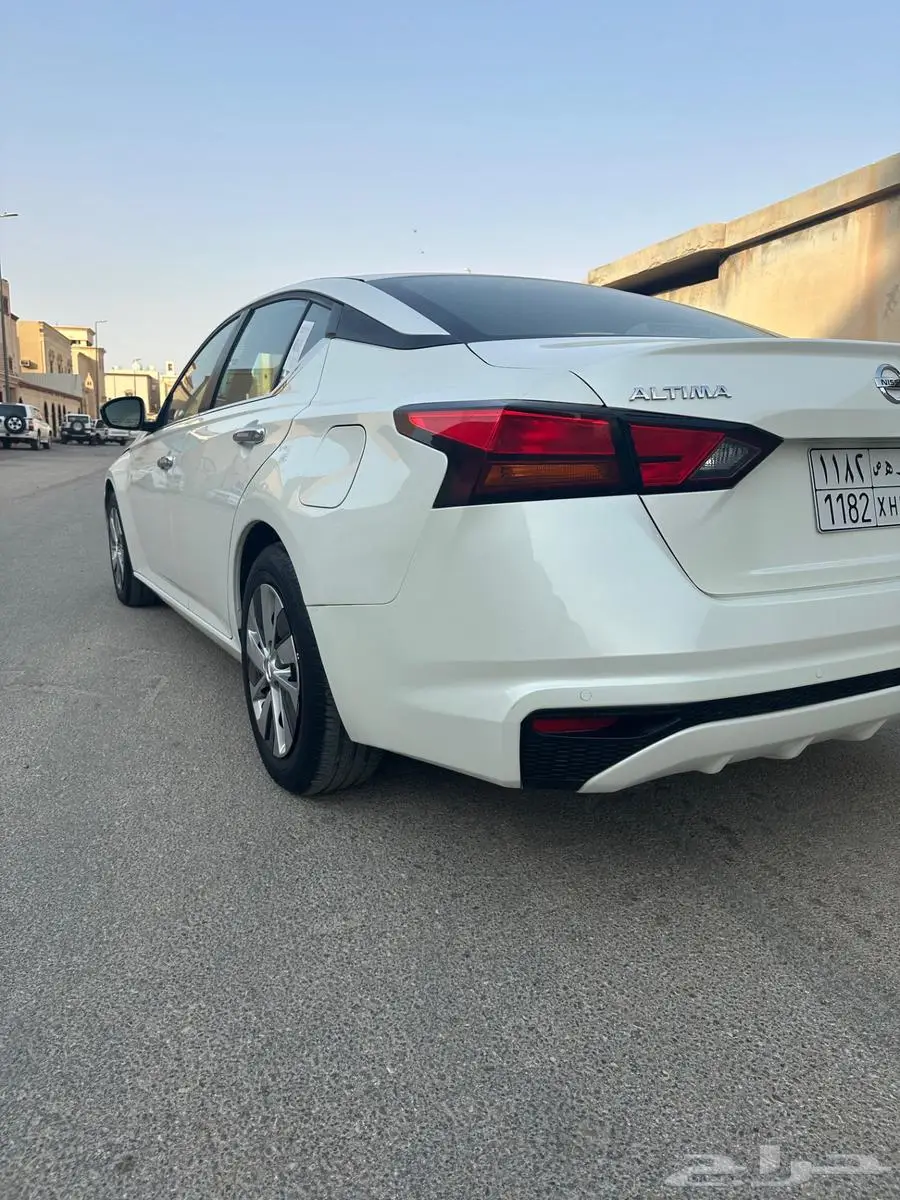 التيما ستاندر 2019 6