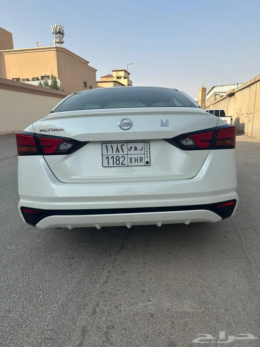التيما ستاندر 2019 7