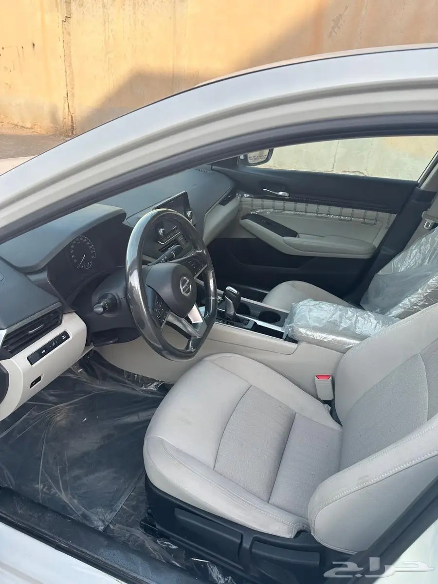 التيما ستاندر 2019 11