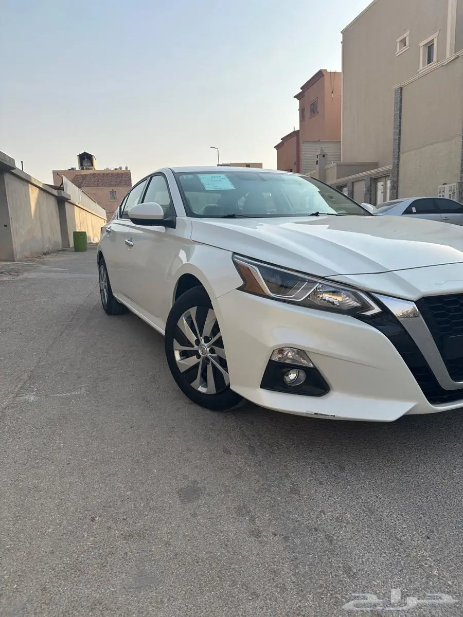 التيما ستاندر 2019 0