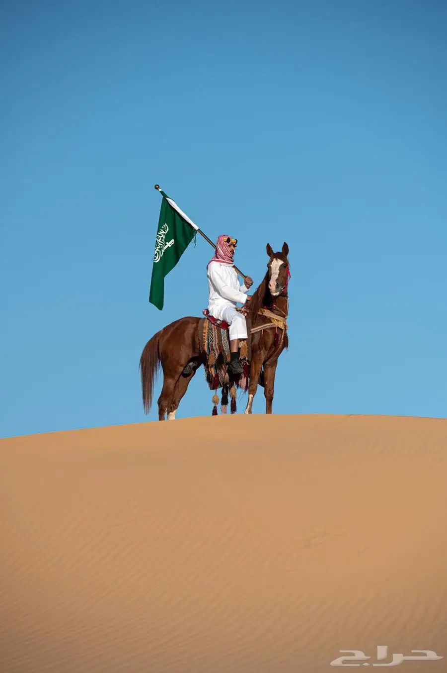 مواشي 1