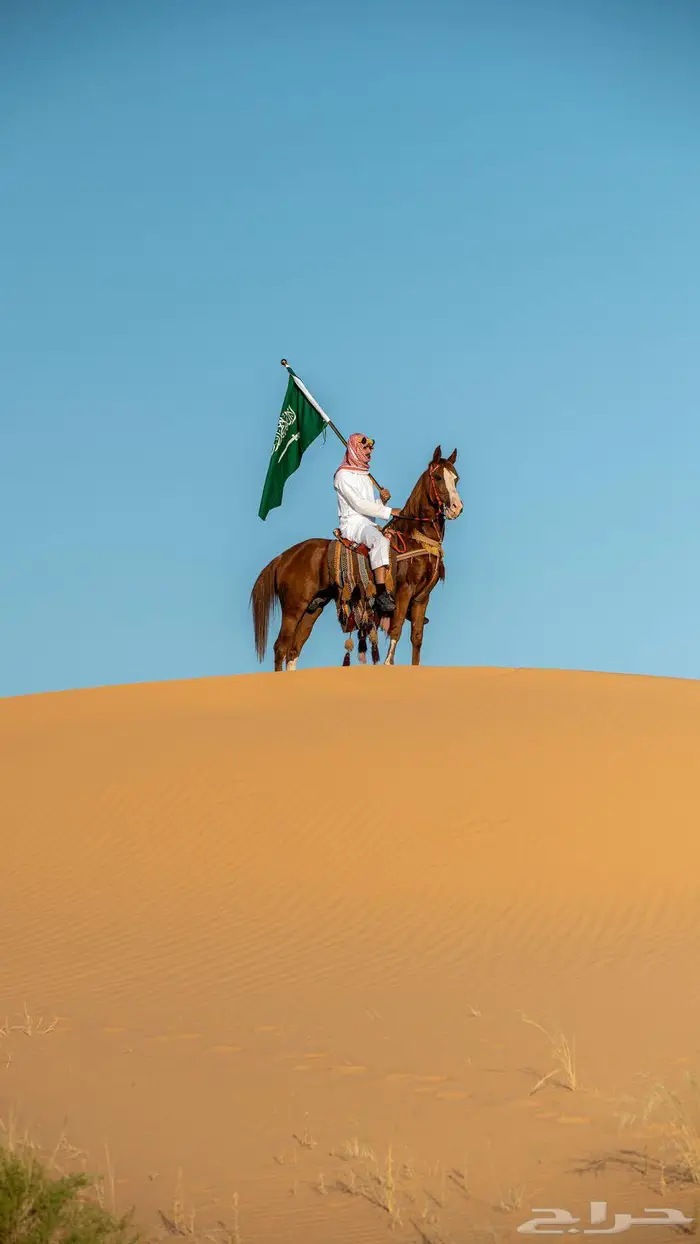 خيول شعبيه 0