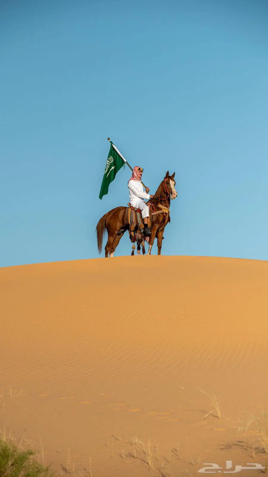 مواشي 0