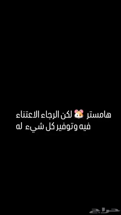 هامستر 0