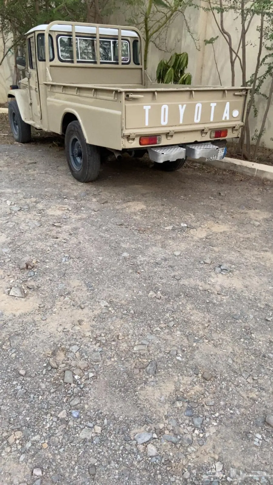 شاص 6