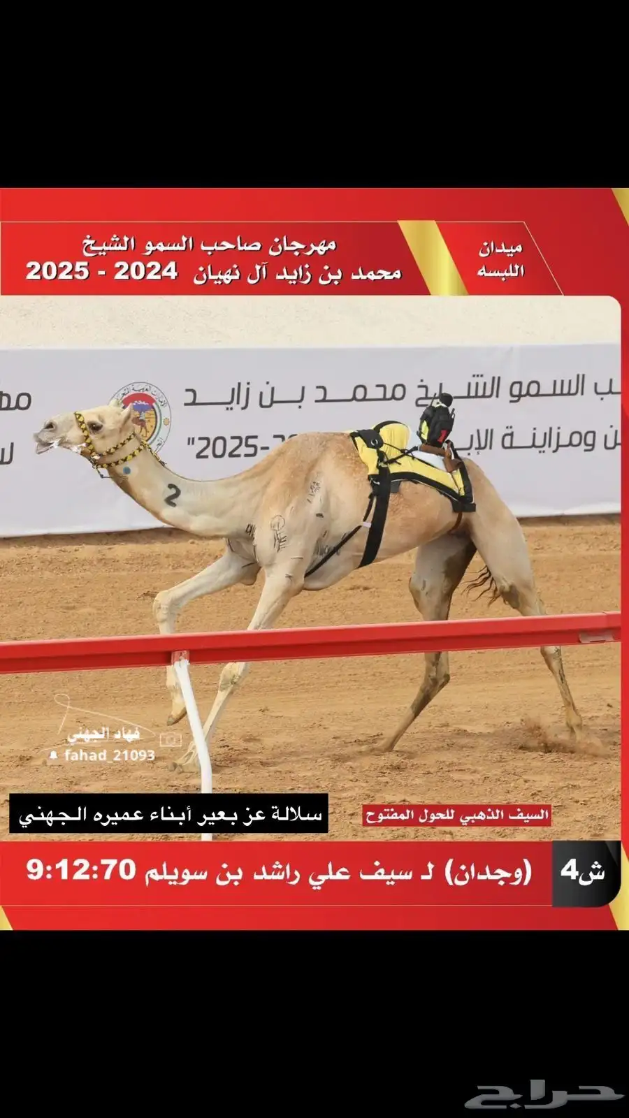 ناقه سودانيه تحتها بكره بنت عز الجيش جمل ياسر عميره الجهني 5