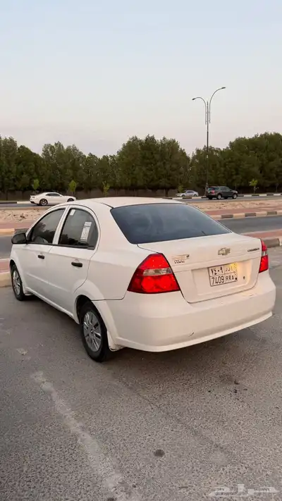 افيو نظيفه جدا 13