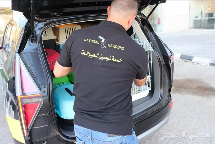 ثعلب فنك الصحراء لعشاق النوادر 3