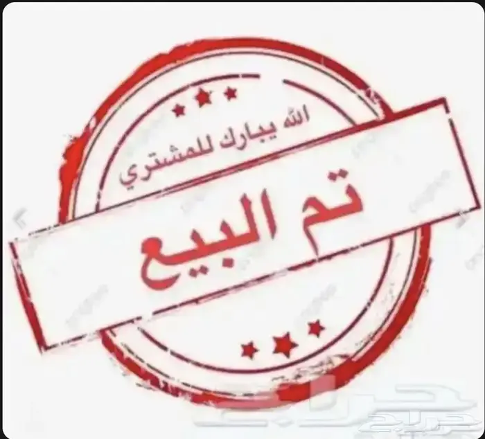 صوص دجاج فيومي 0