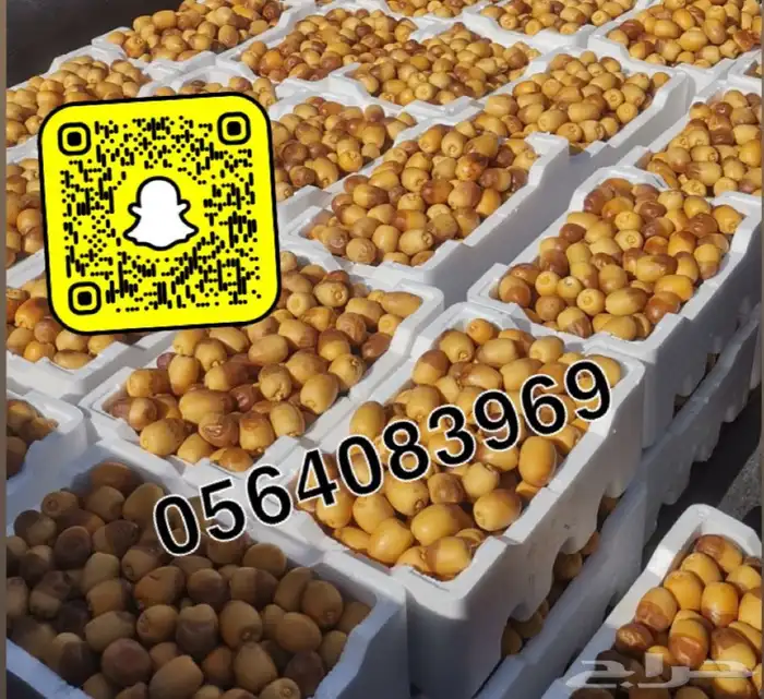 روثانه مناصيف 2