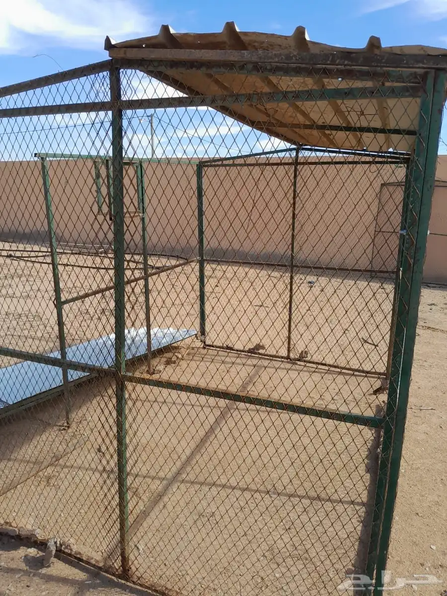 شبوك حمام 3