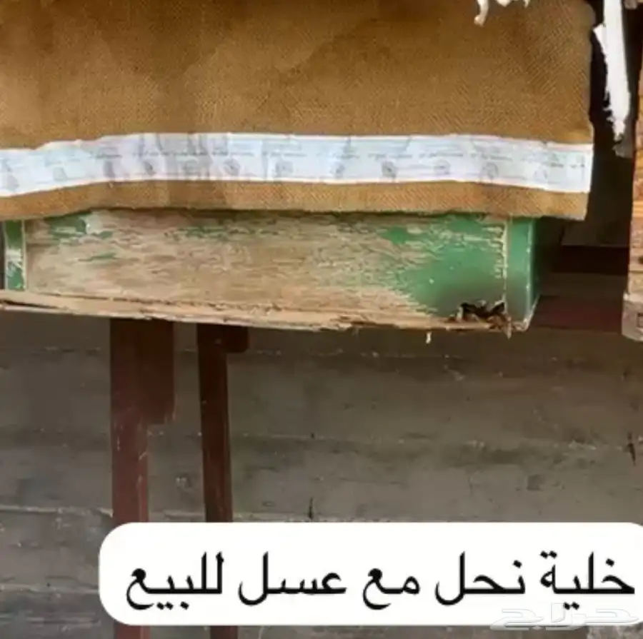 خليه نحل للبيع 0
