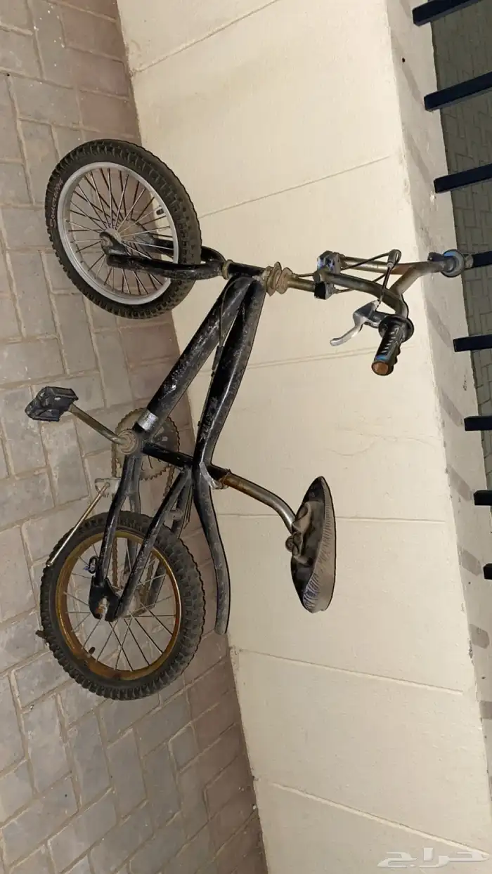 سياكل جدد للبيع 2