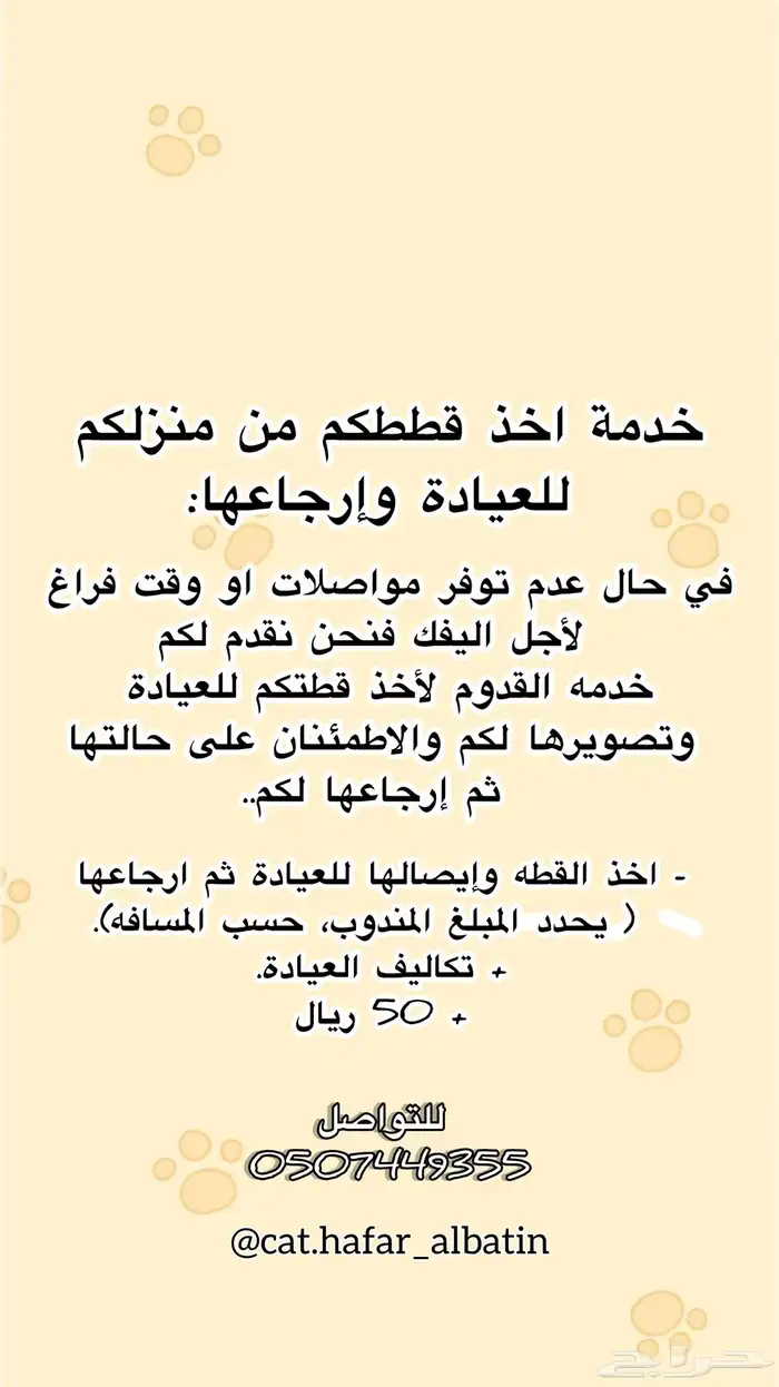 فندقة قطط شامل رمل وداري فود مجاني- عمليات تعقيم-تطعيم 4