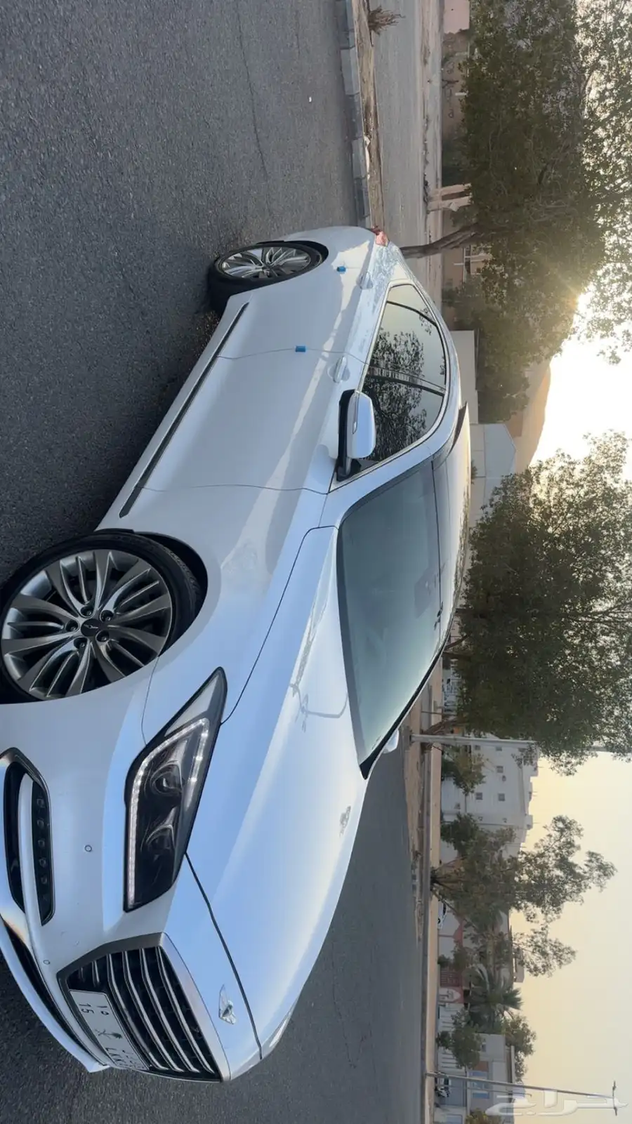 جنسس 2018 3