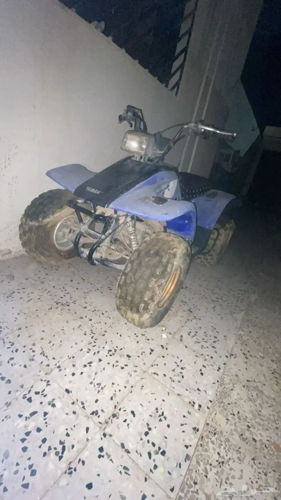للبيع دباب يامها حجم كبير مرة مرة 4
