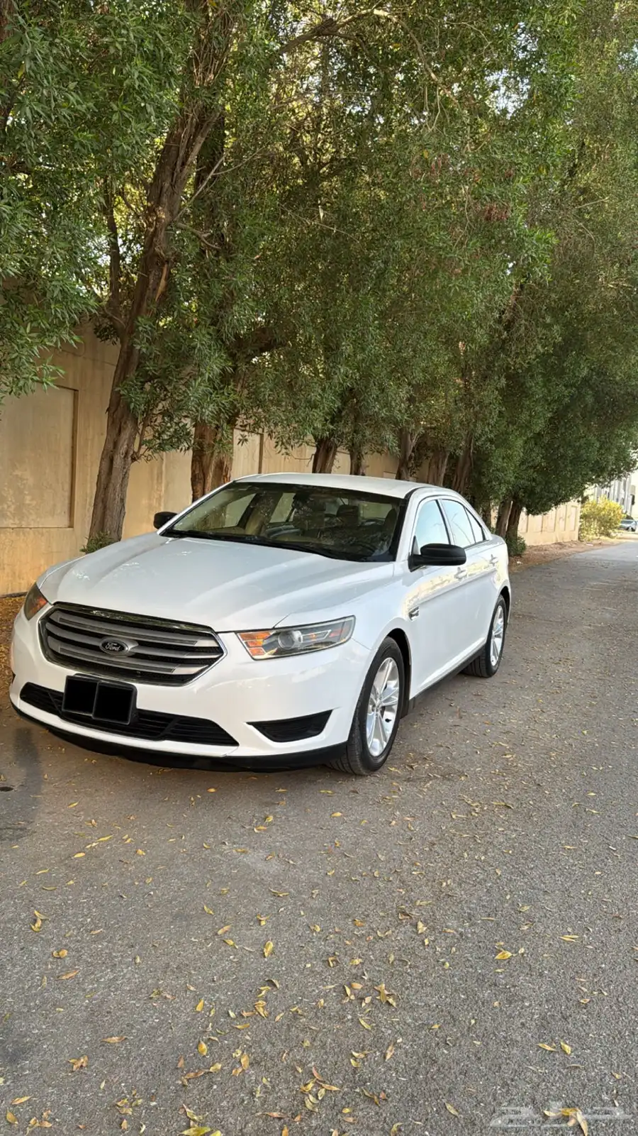 فورد تورس 2015سعودي 9