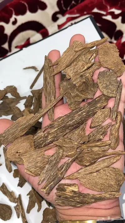 عود كلمنتان طبيعي نقوة النقوة 3