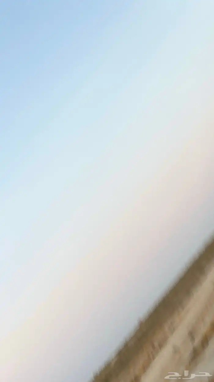 مطلوب حليب فرس فالخفجي 0