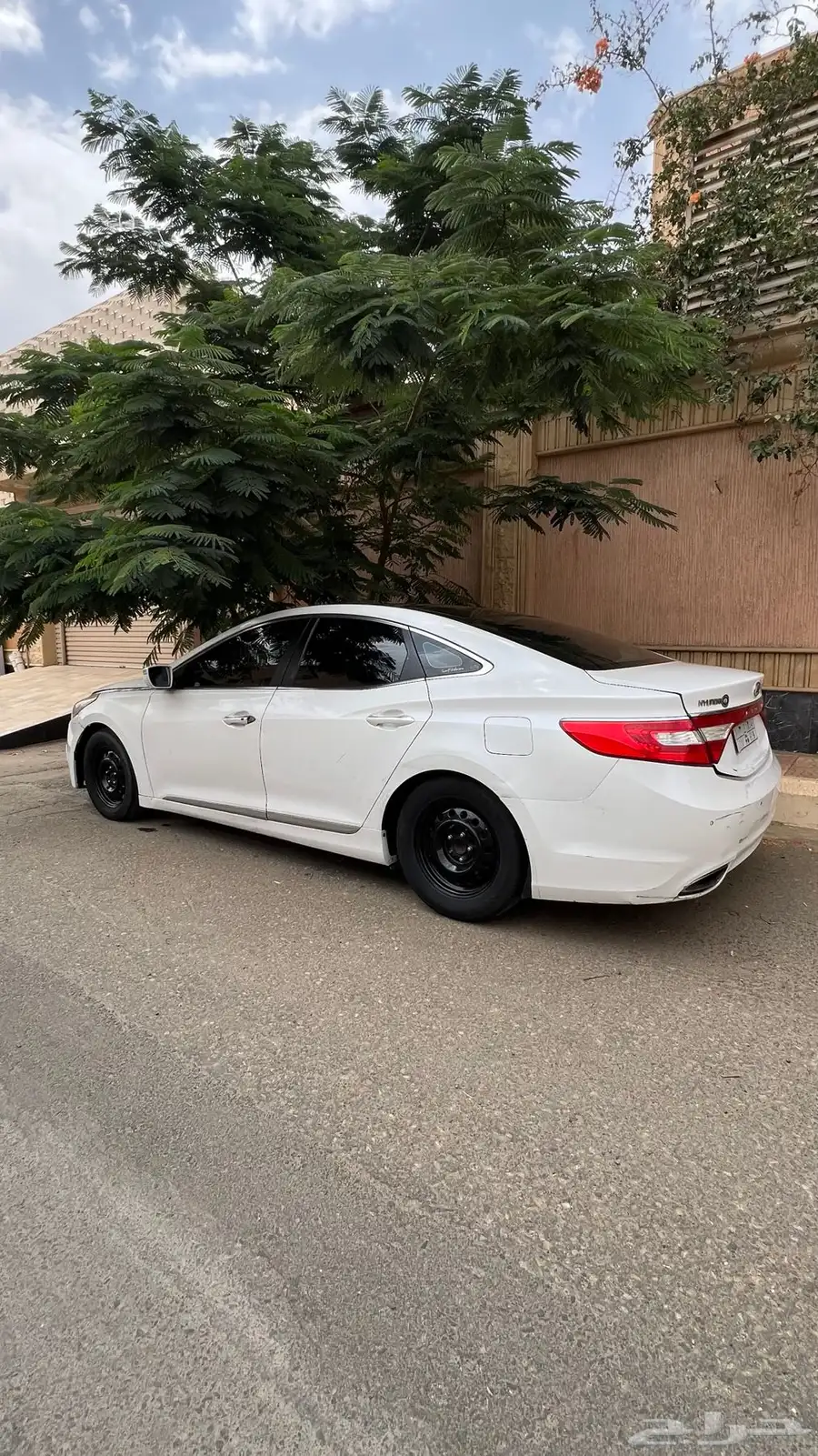 ازيرا فل كامل 6 سرندل 4