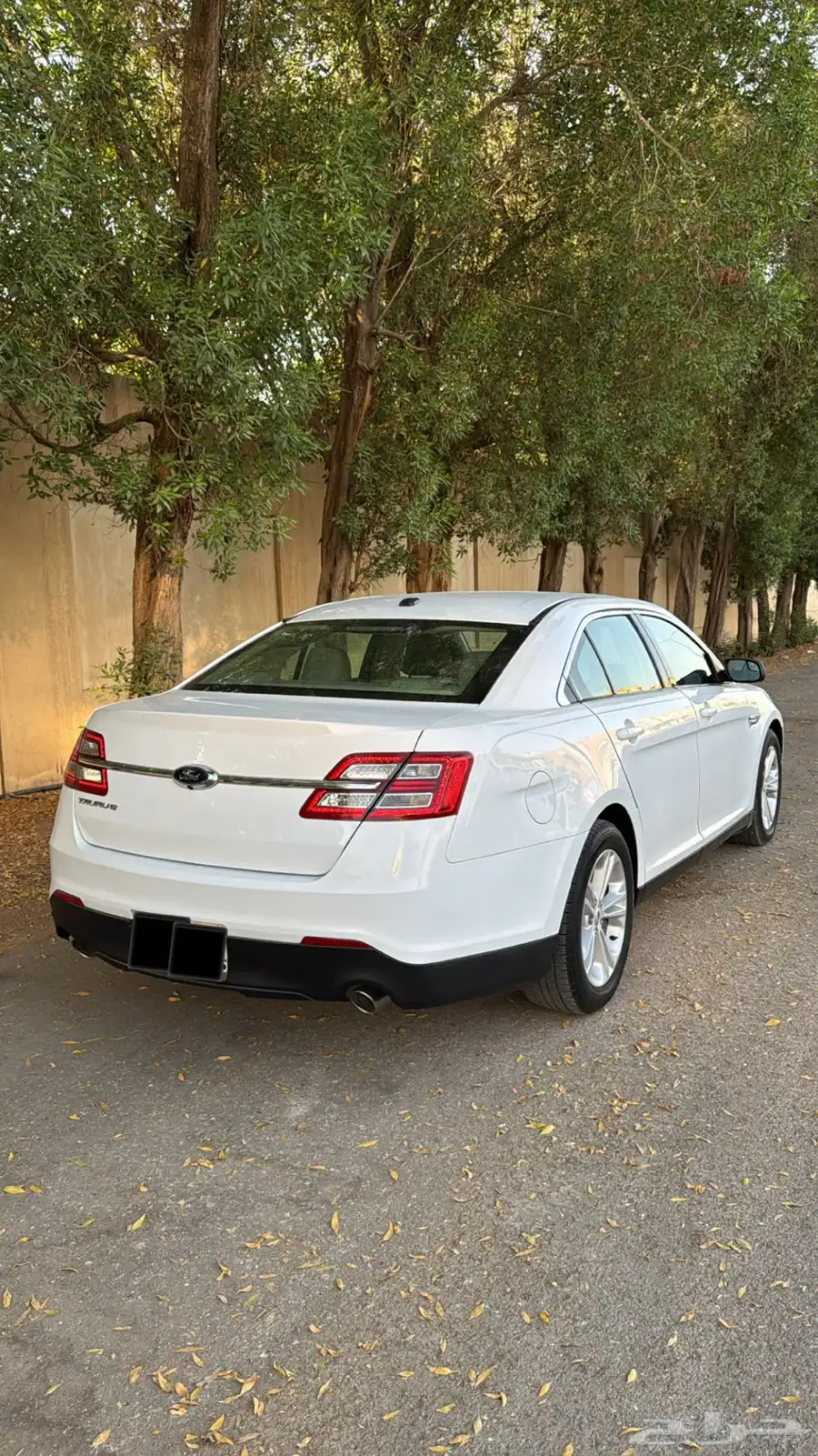 فورد تورس 2015سعودي 11
