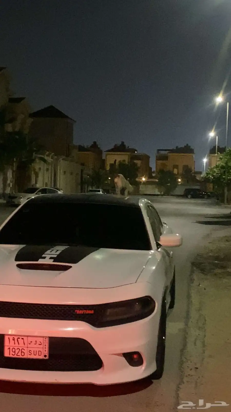 تشارجر دايتونا 2017 7