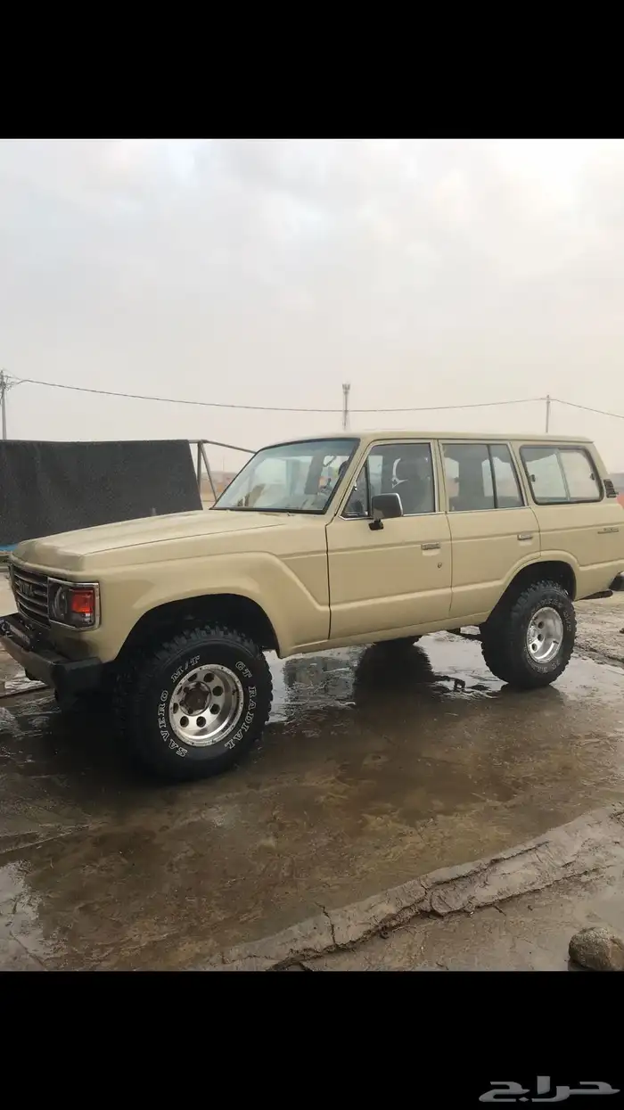 جيب صالون 1981 مجدد والتأمين ساري 1