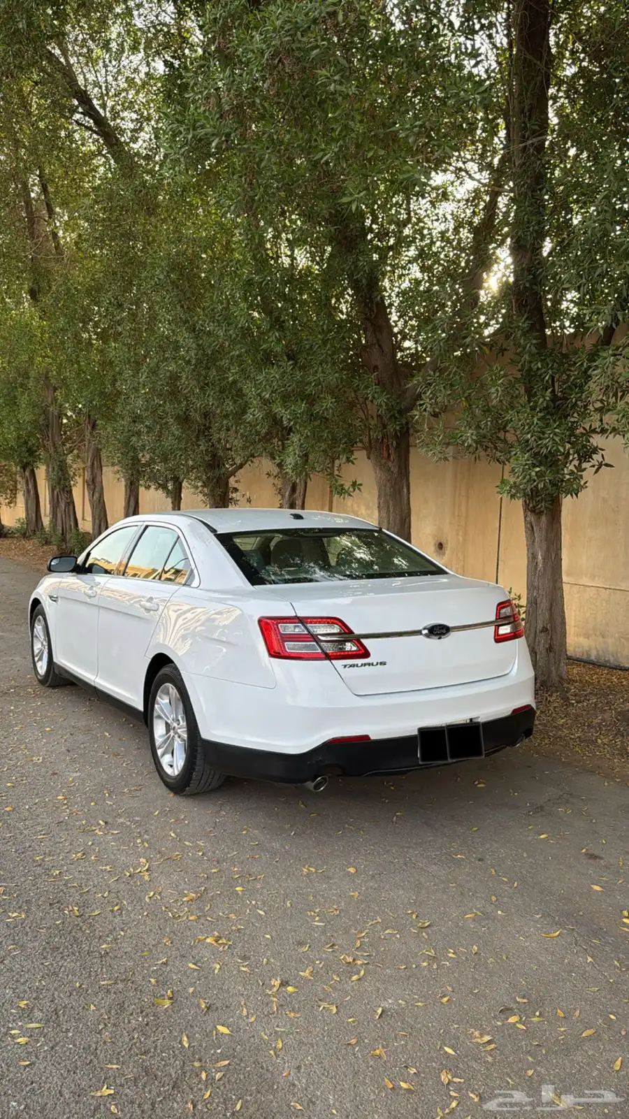 فورد تورس 2015سعودي 12