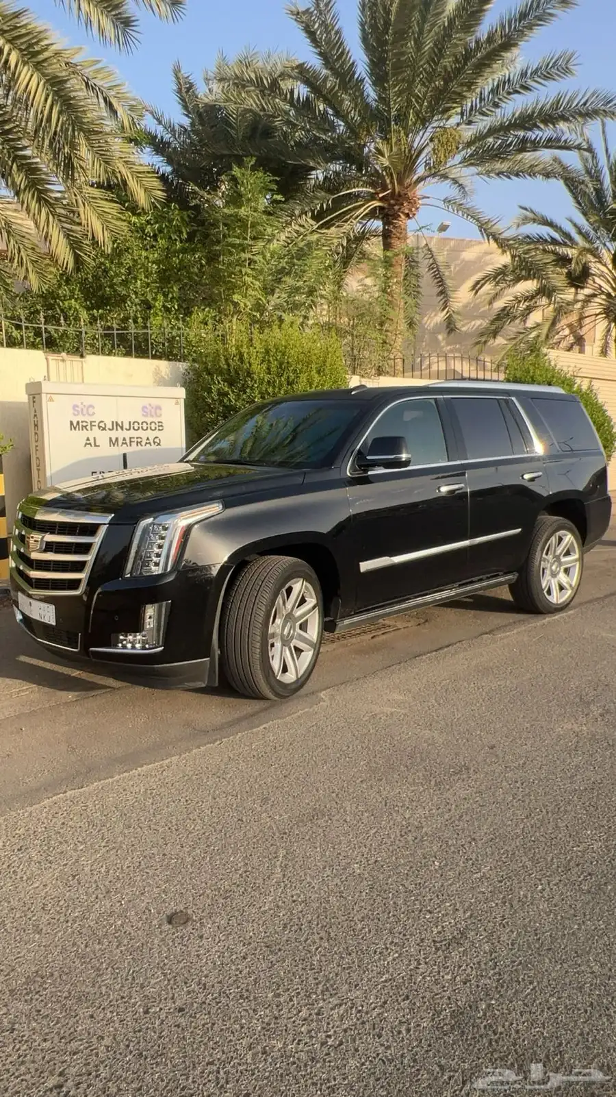العشاق النظيف 0