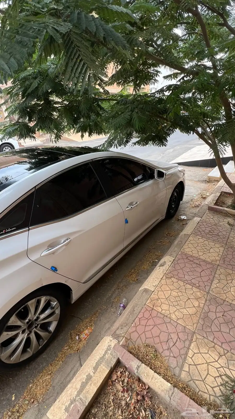 ازيرا فل كامل 6 سرندل 7