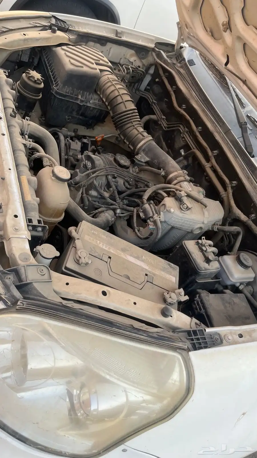 ونيت تونلاند2019 11