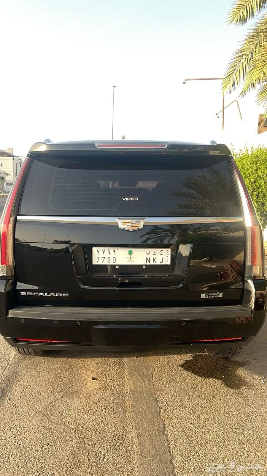 العشاق النظيف 2