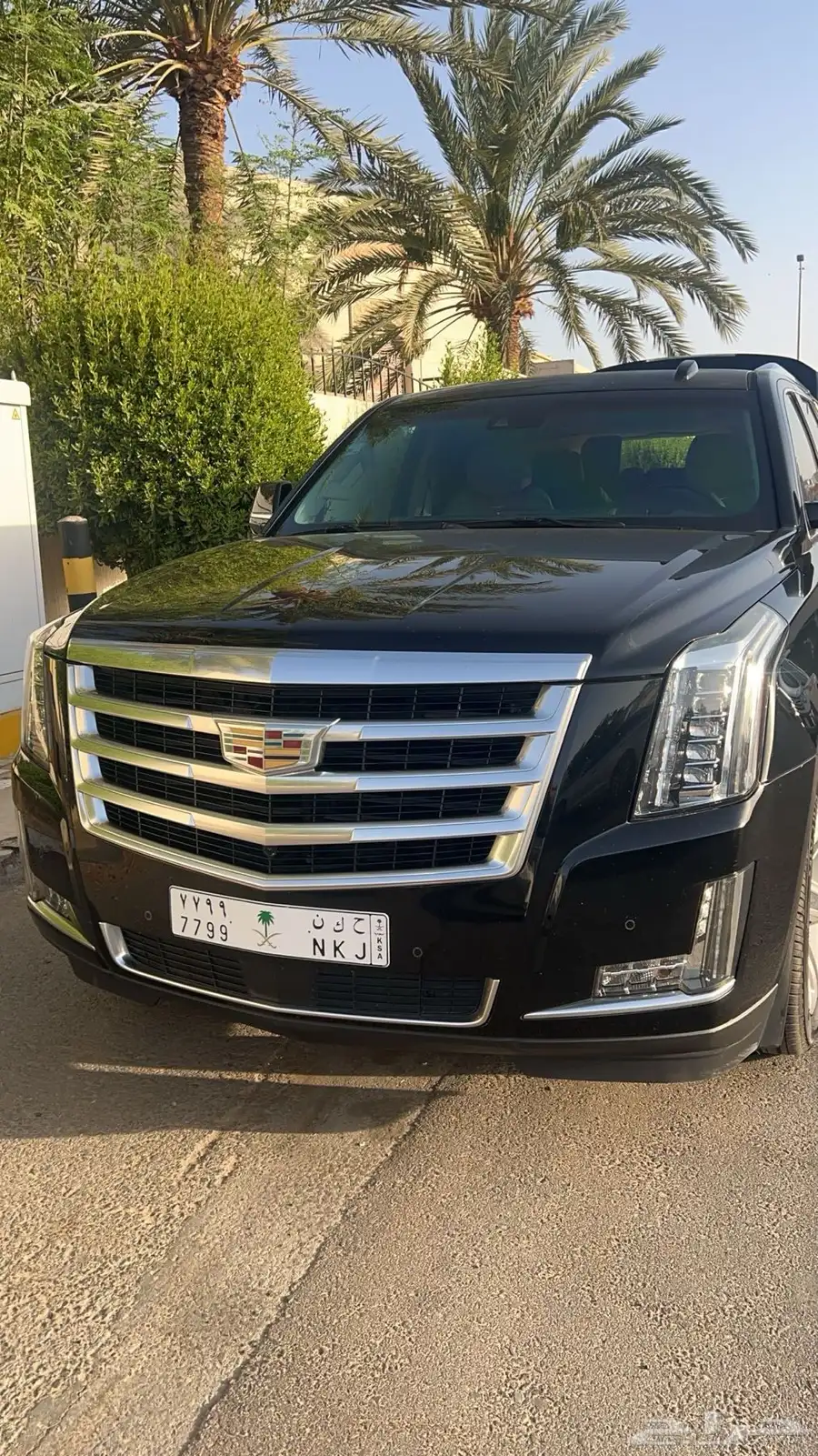 العشاق النظيف 1