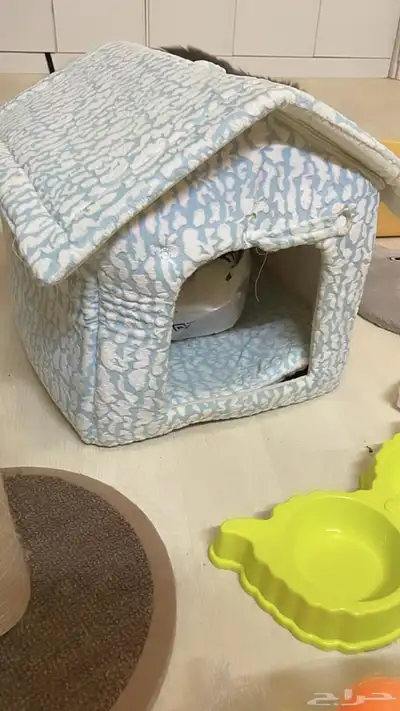 اغرض للقطط 2