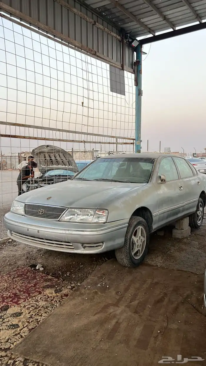 مندوب تشاليح 3