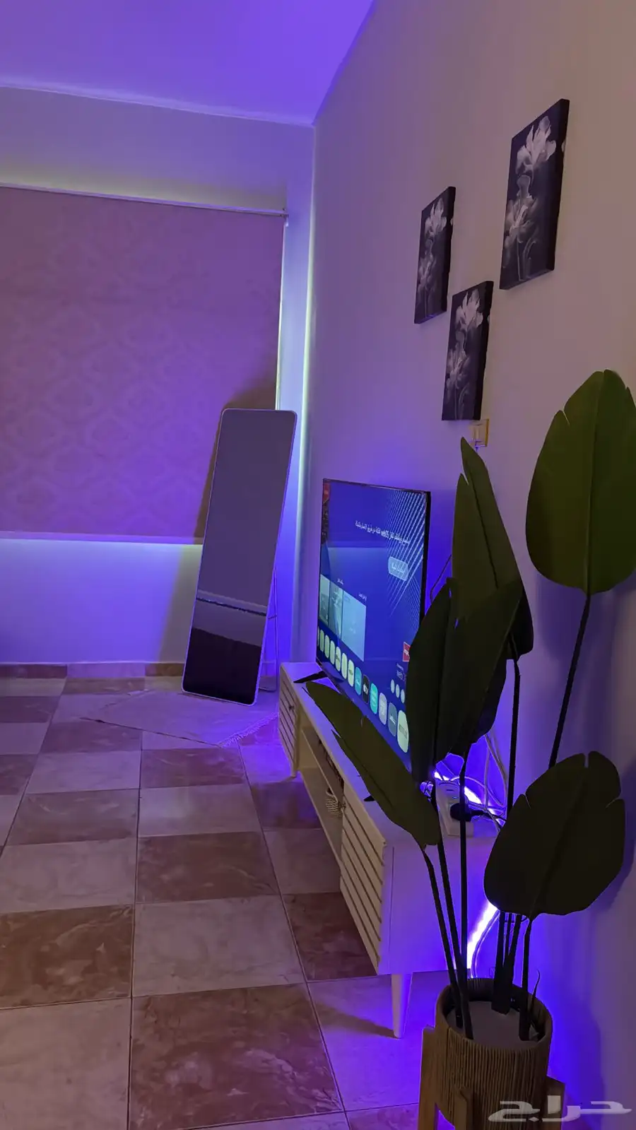 استديو  يومي اسبوعي 3