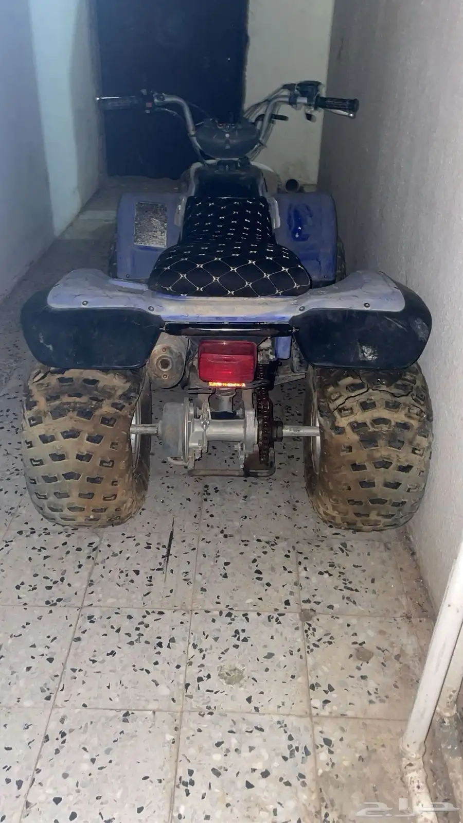 للبيع دباب يامها حجم كبير مرة مرة 2