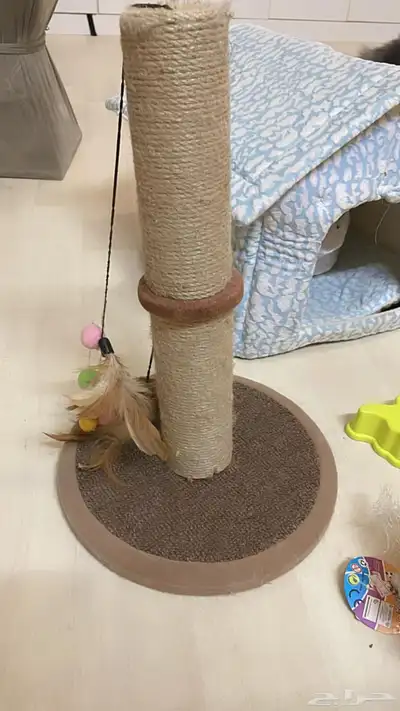 اغرض للقطط 1