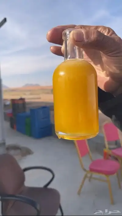 زيت زيتون 6