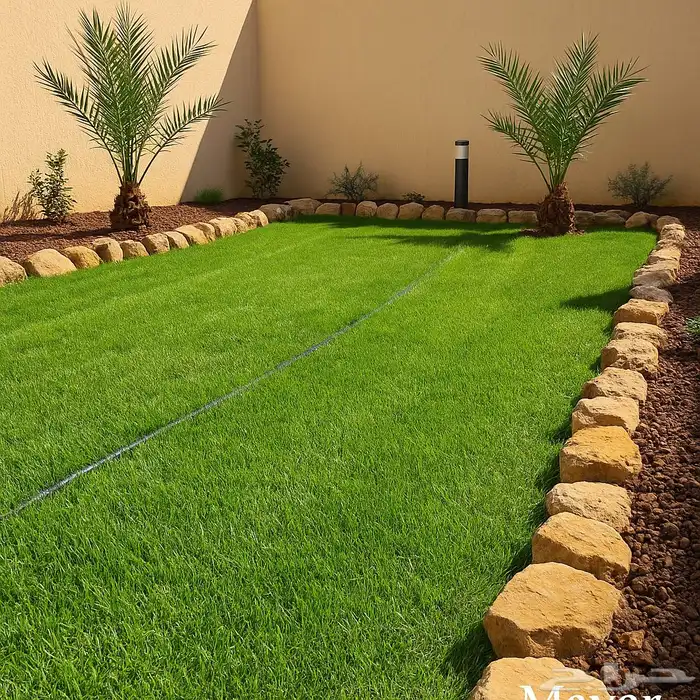 ثيل طبيعي c2000 فرنساوي 0